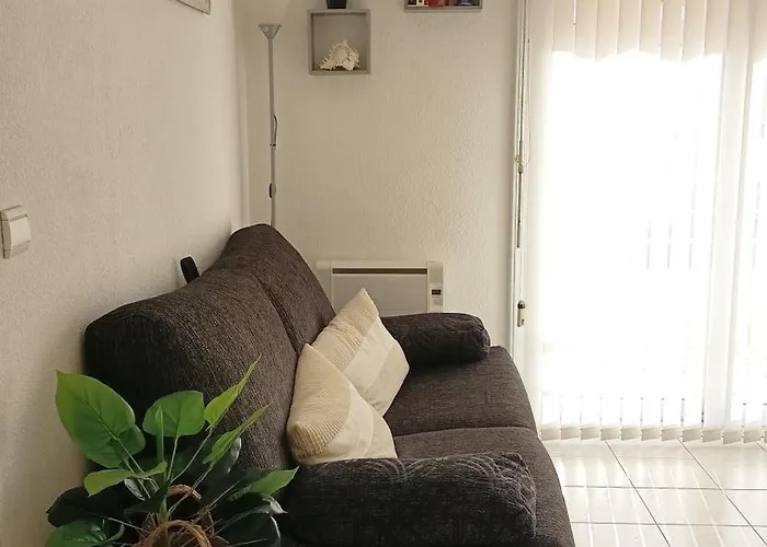 Appartement A 400m De La